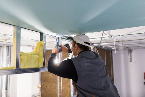 Best Soundproof Insulation Installation  in Alexandria Bay, NY