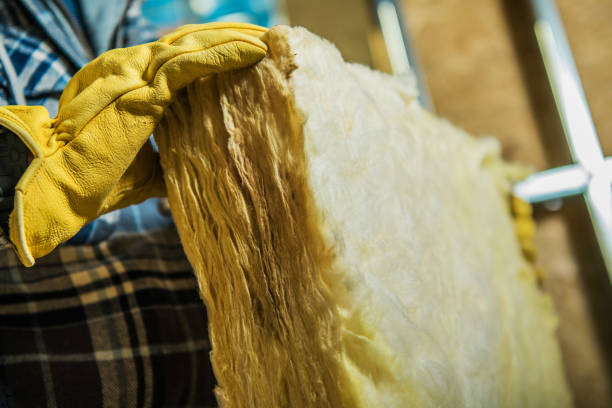 Best Insulation Replacement Services  in Alexandria Bay, NY