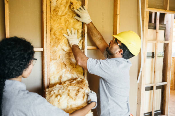 Best Home Insulation Services  in Alexandria Bay, NY